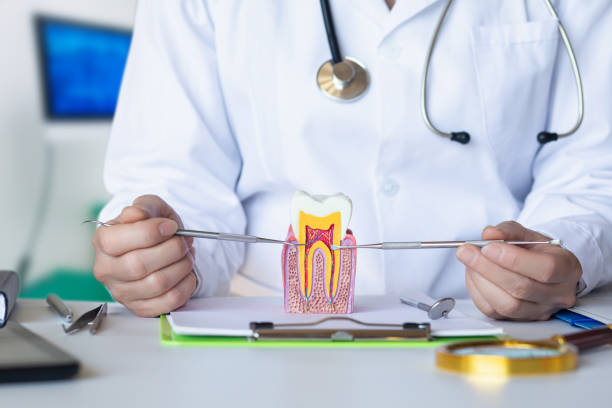 Best Cosmetic Emergency Dentistry in Port St Joe, FL